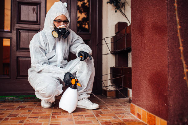 Attic and Crawl Space Rodent Treatment in La Presa